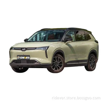 China Brand W6 2022 Used Electric SUV 520km with High Quality Wm W6